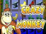 обезьянки игровой автомат
